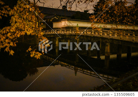 Moat and autumn leaves Moat and autumn leaves 135509605