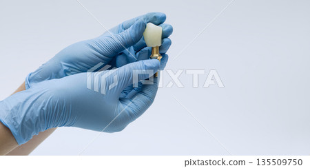 Gloved Hands Holding Dental Implant Crown Gloved Hands Holding Dental Implant Crown 135509750