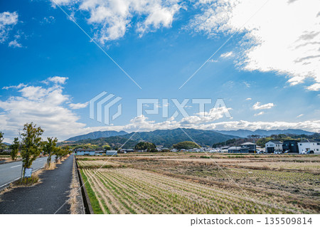 奈良縣橛原市的冬季鄉村景色 135509814