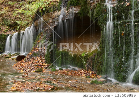 Landscape with a waterfall Landscape with a waterfall 135509989