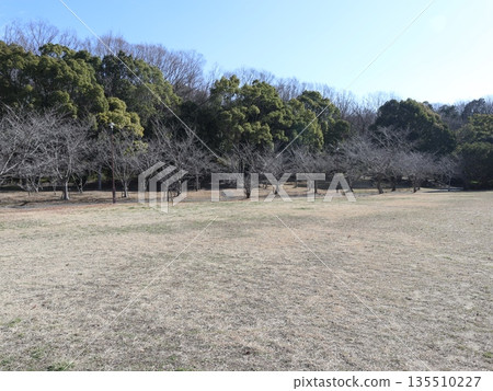Nearby Nishishin Chuo, Nishi Ward, Kobe City Nearby Nishishin Chuo, Nishi Ward, Kobe City 135510227