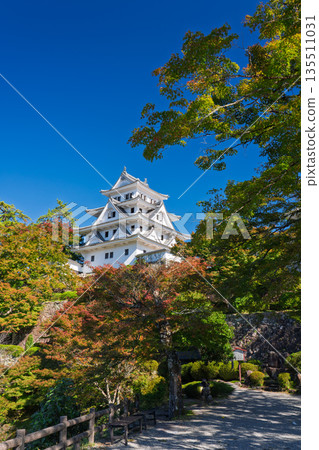 秋日的郡上八幡城，岐阜郡郡上市 135511031