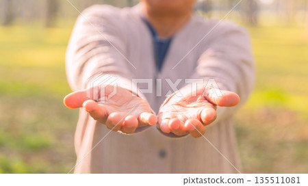 Person holding out two open hands toward the camera outdoors in warm sunlight with blurred park background. Concept of offering help, support, generosity, trust and human connection. 135511081