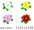 Poinsettia illustration material 135511208