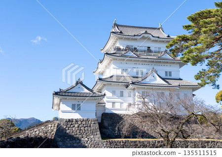 Odawara Castle seen from the square 135511515