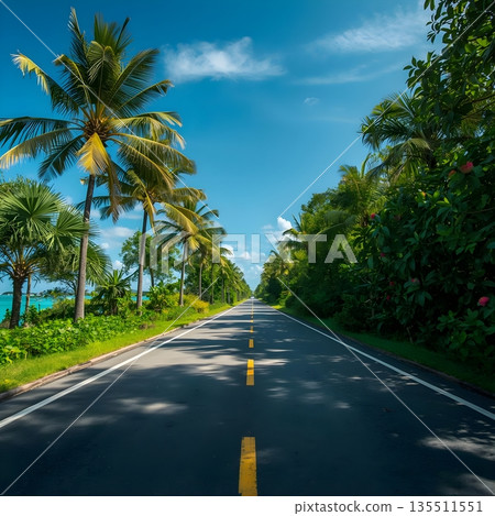 Quiet Ocean Roadscape 135511551