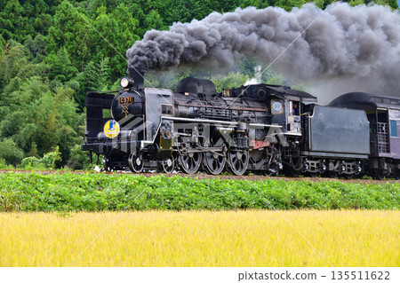 Yamaguchi 25 Yamaguchi 25 135511622