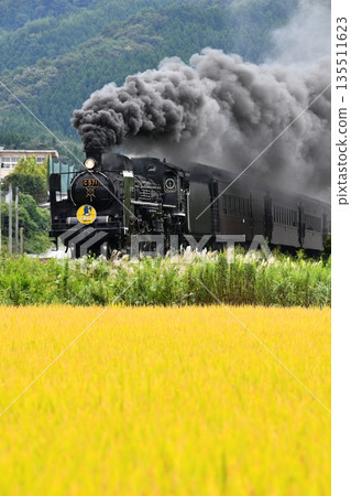 Yamaguchi 26 Yamaguchi 26 135511623