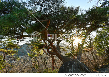 Ushibushi山 Ushibushi山 135511687