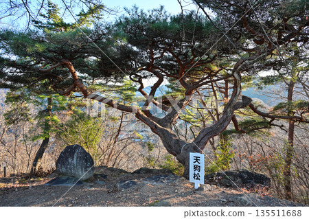 Ushibushi山 135511688