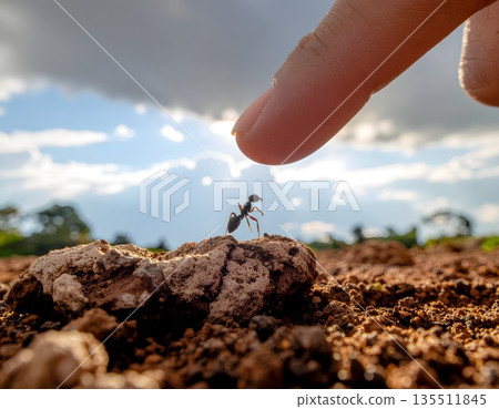 螞蟻與人類手指：一場激烈而充滿對抗的較量 135511845