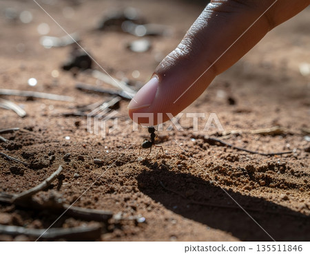 螞蟻與人類手指之間的連結與信任，源自於指尖的支撐 135511846