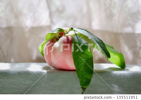 長出葉子的桃子・1 135511951