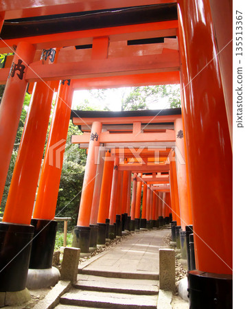 與鳥居的風景 與鳥居的風景 135513367