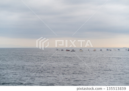 Numerous boats are scattered across the serene waters near Prince Islands, under a cloudy sky, creating a tranquil maritime landscape. 135513839