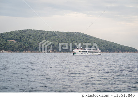 Passengers on a ferry travel across the calm waters surrounding Prince Islands, enjoying a natural landscape and each others company on a cloudy day. 135513840