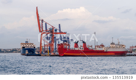 Freight vessels are anchored at the Bosphorus port, with cranes in operation against a backdrop of an overcast sky, highlighting commercial shipping activities. 135513919