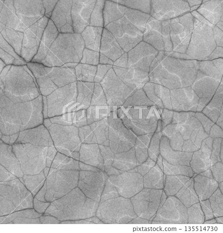 Dark natural cracked granite texture. Seamless pattern 135514730