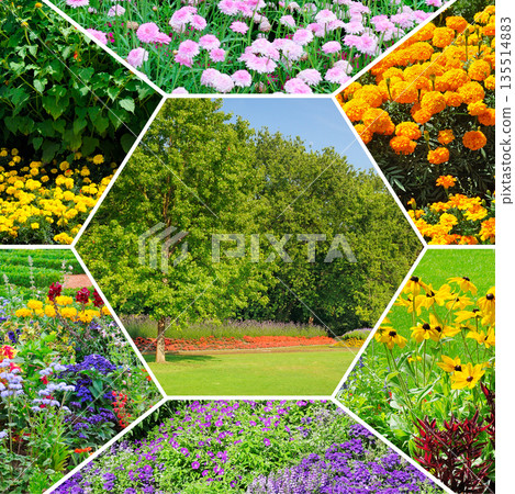 Beautiful park landscape and colorful flower garden mosaic Beautiful park landscape and colorful flower garden mosaic 135514883