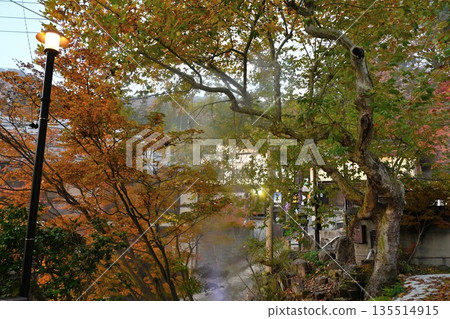 Autumn leaves and surrounding scenery in Nozawa Onsen Village (Nozawa Onsen Village, Nagano Prefecture) 135514915