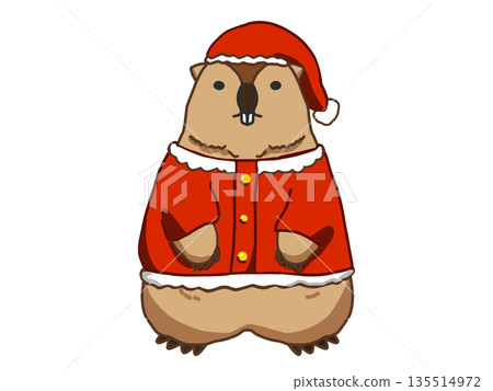 穿著聖誕老人服裝的土撥鼠插圖 135514972