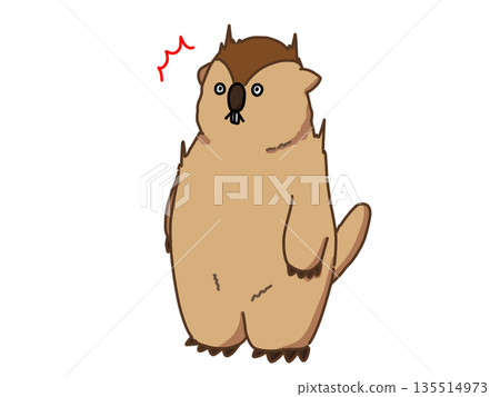 Illustration of a surprised marmot Illustration of a surprised marmot 135514973