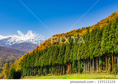 白馬的雪山和野平地區的秋葉 135515229