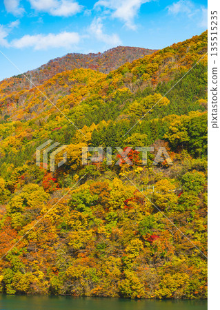 Himekawa Dam and autumn leaves 135515235