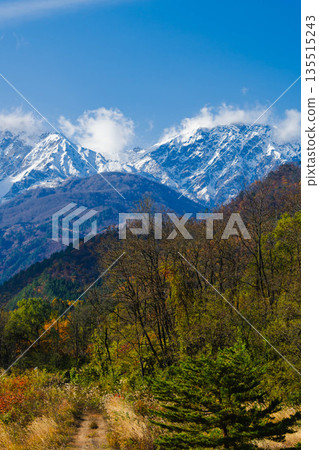 北阿爾卑斯山和秋葉 135515243