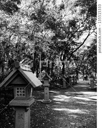 一條綠樹環繞的小徑通往神社，營造出寧靜祥和的氛圍。 135515333