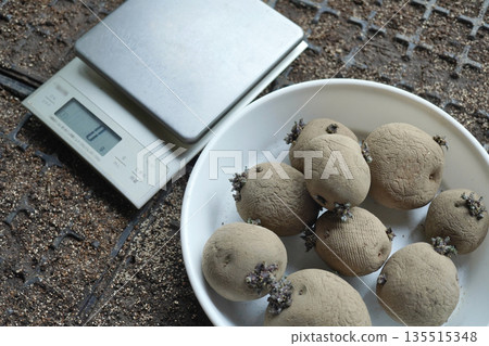 稱量種薯03 135515348