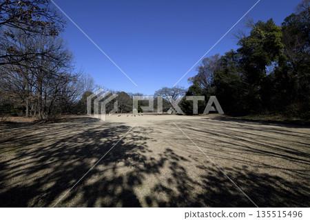 Jindaiji Castle 2nd Quarter 135515496