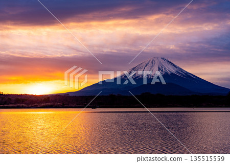 （山梨縣）日本的黎明：金色的天空和富士山 135515559