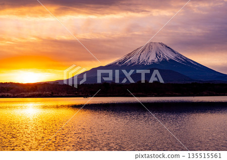 （山梨縣）日本的黎明：金色的天空和富士山 135515561