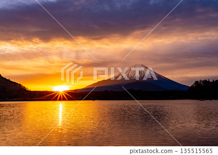 （山梨縣）日本的黎明：金色的天空和富士山 135515565