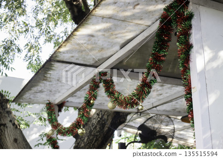 Green area relax outdoors garden with plants Green area relax outdoors garden with plants 135515594