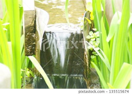 Color River Water Stone Rock (Registered January 2026) 135515674