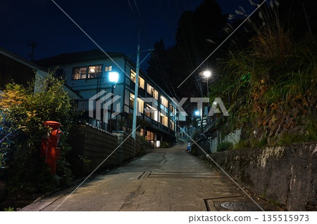 A street in the hot spring town leading to Nozawa Onsen Village at night (Nozawa Onsen Village, Nagano Prefecture) 135515973