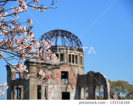 廣島和平紀念公園的櫻花 廣島和平紀念公園的櫻花 135516166
