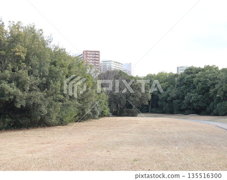 附近, 神戶市西區西新中央 135516300