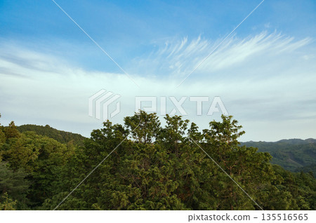 從茨城縣安之裡公園眺望的景色 135516565