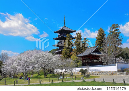 [岡山縣]春天的備中國分寺（櫻花和五重塔） 135516579