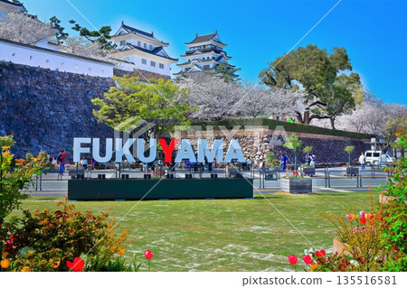 [廣島縣] 春天的櫻花盛開的福山城（重建後）福山城櫻花節 135516581