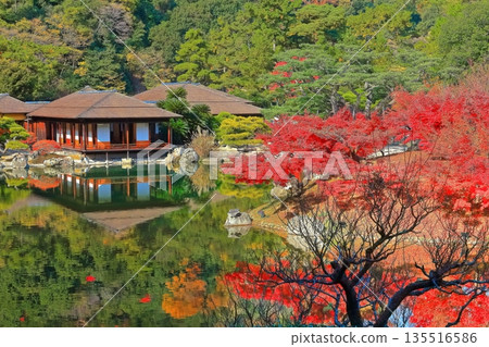 [香川縣]秋天栗林庭園的紅葉（特別名勝） 135516586