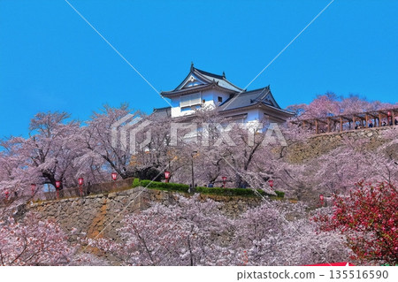 [Okayama Prefecture] Tsuyama Castle in the spring when cherry blossoms bloom (Binaka turret) 135516590