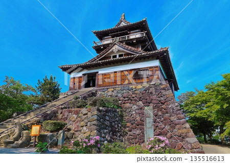 [Fukui Prefecture] Maruoka Castle Tower (famous for its cherry blossoms) 135516613