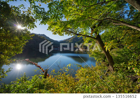 Lake Usui on a clear day in Annaka City, Gunma Prefecture 135516652