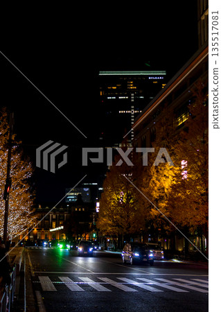 Autumn Tokyo Night, Autumn Leaves, Marunouchi 135517081
