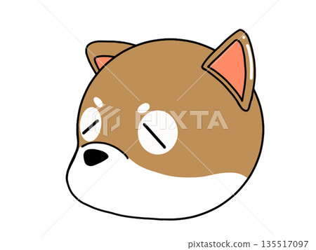 一隻沮喪的柴犬的臉 一隻沮喪的柴犬的臉 135517097