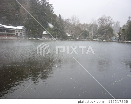 雪天的由布院金麟湖 135517266